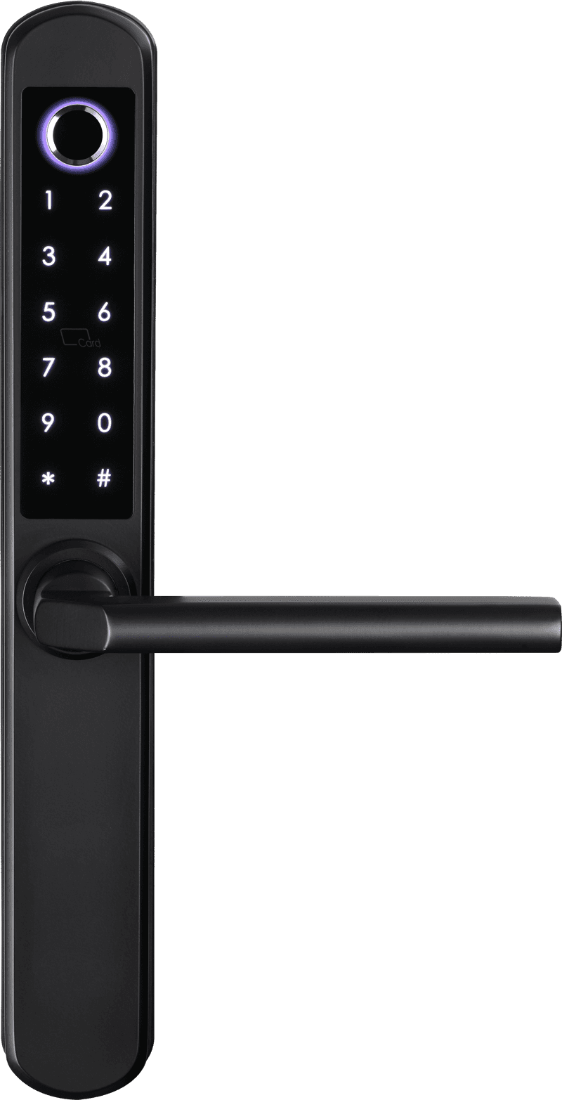 Aurora Black – yală inteligentă